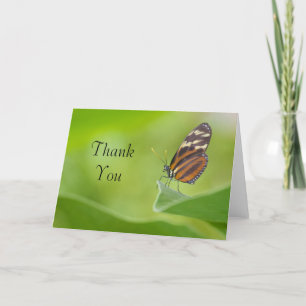Tiger Longwing butterfly Letterpress Thank You Card