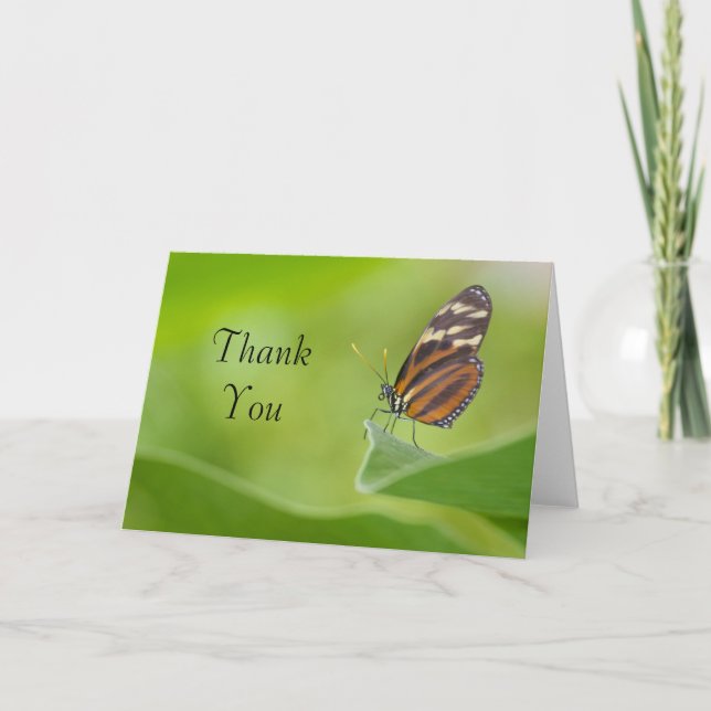 Tiger Longwing butterfly Letterpress Thank You Card (Front)