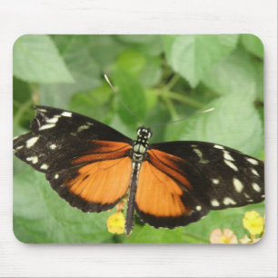 Tiger Longwing Butterfly Mousepad