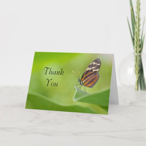 Tiger Longwing butterfly Thank You Card