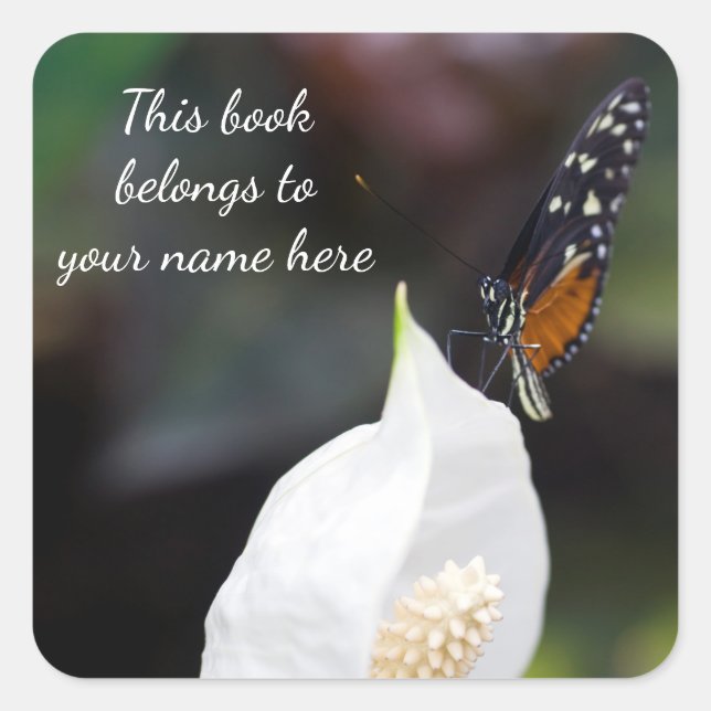 Tiger Longwing Butterfly "This book belongs to"  Square Sticker (Front)