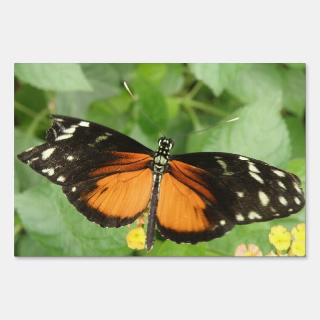 Tiger Longwing Butterfly Yard Sign (Front)