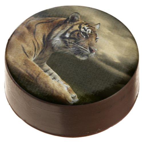 Tiger looking and sitting under dramatic sky chocolate dipped oreo