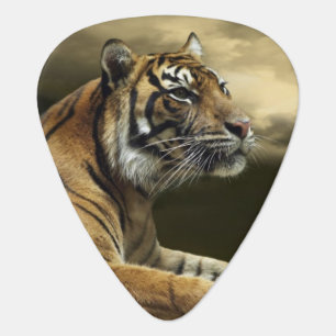 Tiger looking and sitting under dramatic sky guitar pick