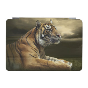 Tiger looking and sitting under dramatic sky iPad mini cover