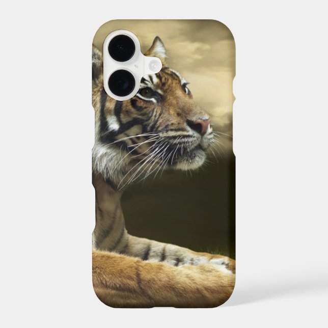 Tiger looking and sitting under dramatic sky iphone case (Back)