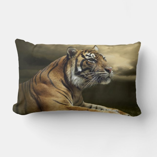 Tiger looking and sitting under dramatic sky lumbar pillow (Front)