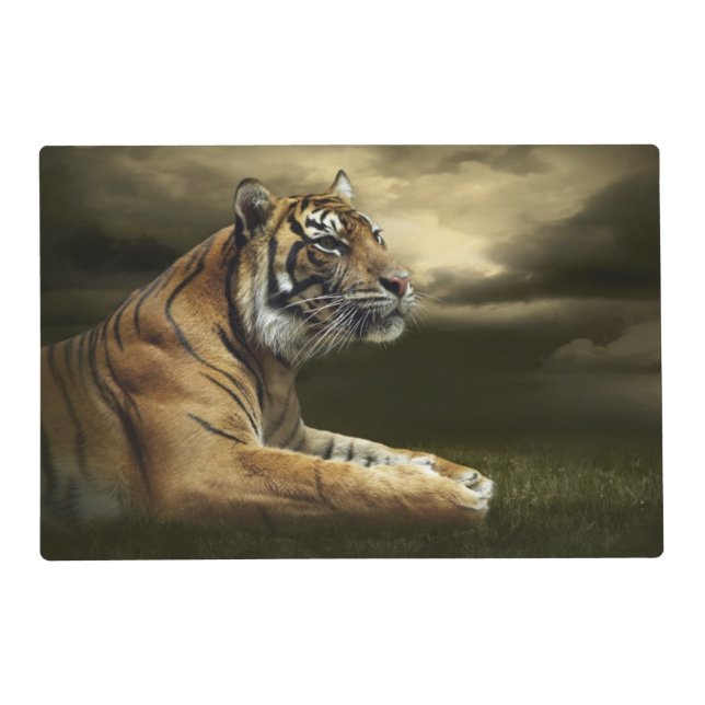 Tiger looking and sitting under dramatic sky placemat (Front)