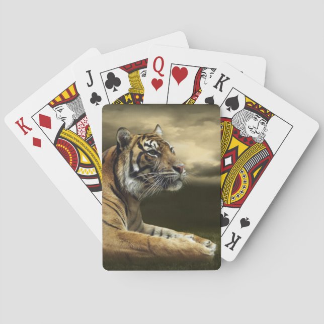 Tiger looking and sitting under dramatic sky poker cards (Back)