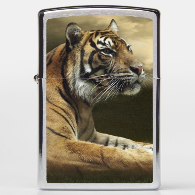 Tiger looking and sitting under dramatic sky zippo lighter (Front)