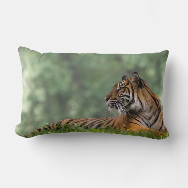 Tiger Lounging Beneath a Tree Lumbar Pillow (Front)