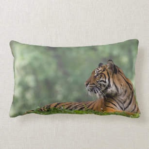 Tiger Lounging Beneath a Tree Lumbar Pillow