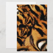 Tiger Love_ (Front/Back)