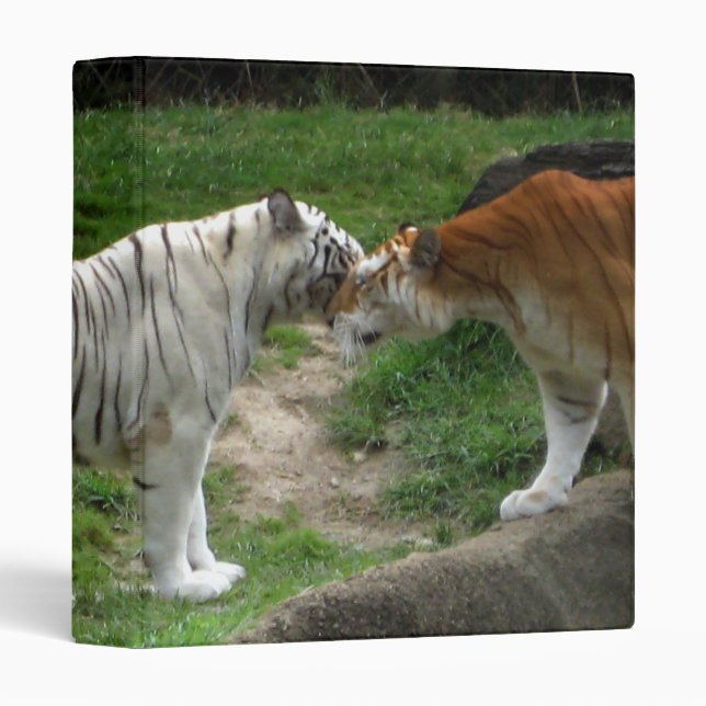 Tiger Love Binder (Front/Spine)