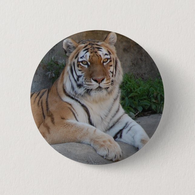 Tiger Love Button (Front)
