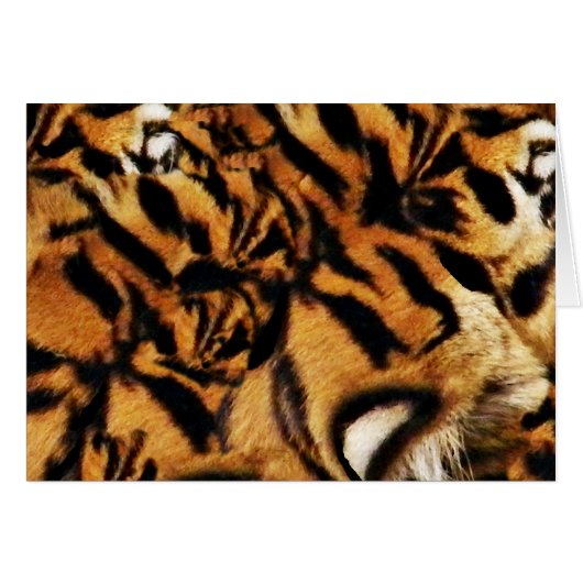 Tiger Love_ Cards (Front Horizontal)