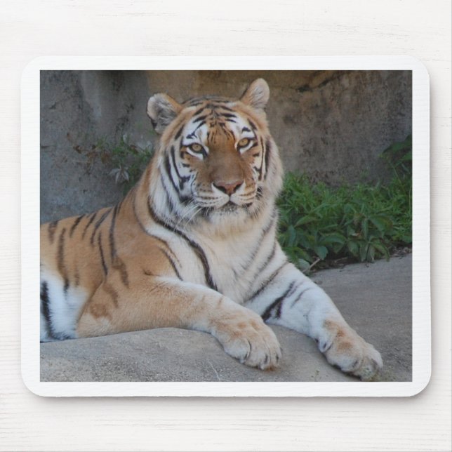 Tiger Love Mouse Pad (Front)