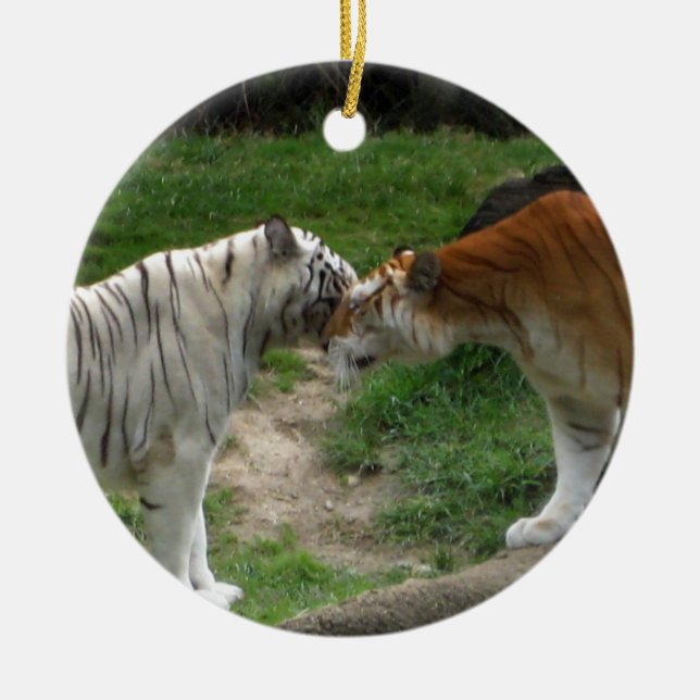 Tiger Love Ornament ~ Tigers (Front)