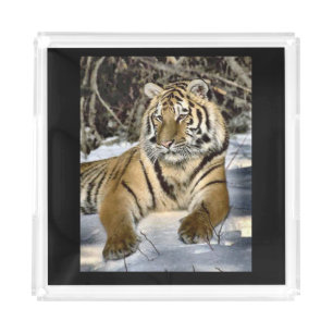 Tiger Lovers Acrylic Tray