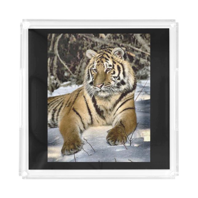 Tiger Lovers Acrylic Tray (Front)