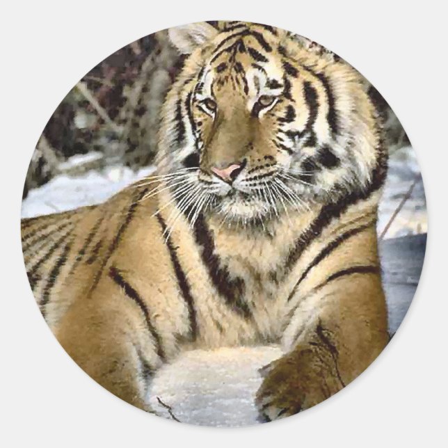 Tiger Lovers Art Gifts Classic Round Sticker (Front)