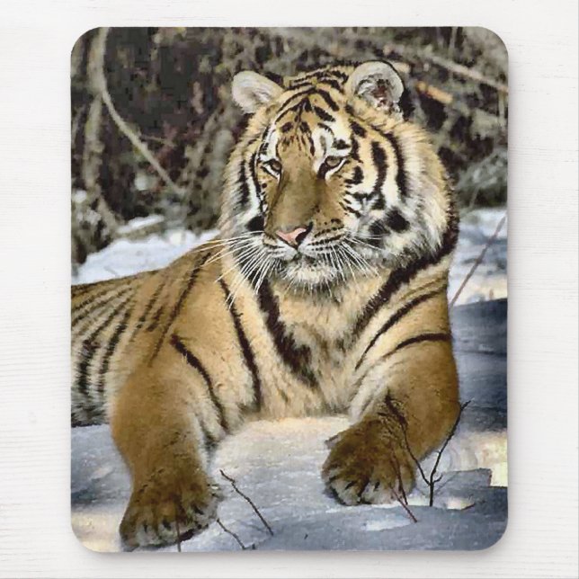 Tiger Lovers Art Gifts Mouse Pad (Front)
