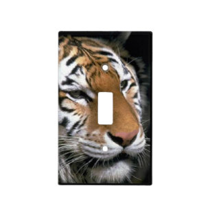 Tiger Lovers Art Light Switch Cover