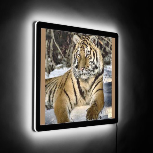 Tiger Lovers LED Sign