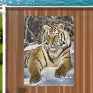 Tiger Lovers Outdoor Rug