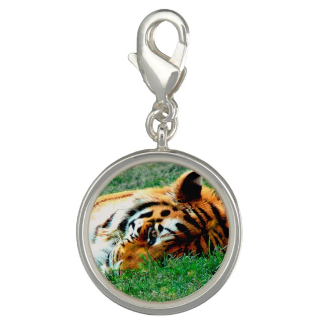 Tiger Lying down Charm Bracelet (Front)