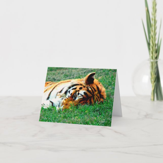 Tiger Lying down Note Card (Front)