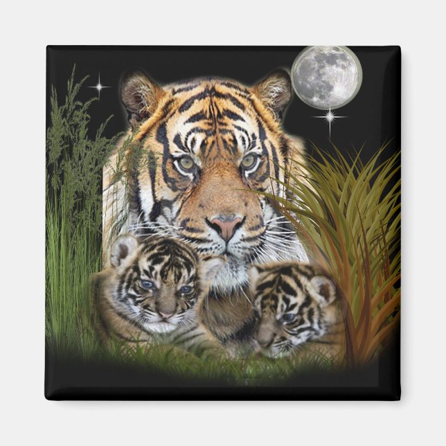 Tiger Magnet (Front)