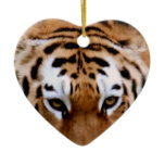 Tiger Markings  Ornament