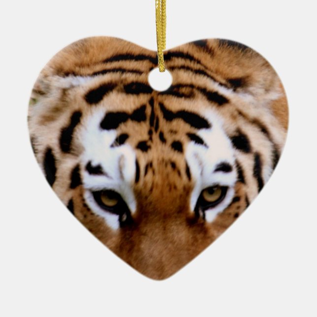 Tiger Markings  Ornament (Front)