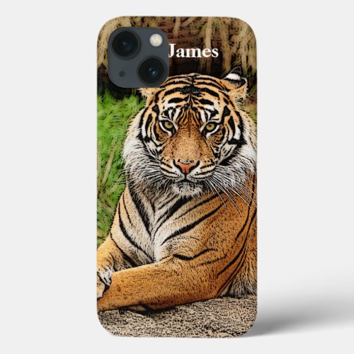 Tiger Masculine Mans Name iPhone 13 Case