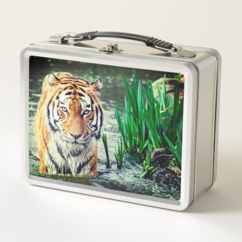 Tiger Metal Lunch Box