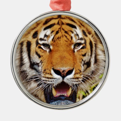Tiger Metal Ornament
