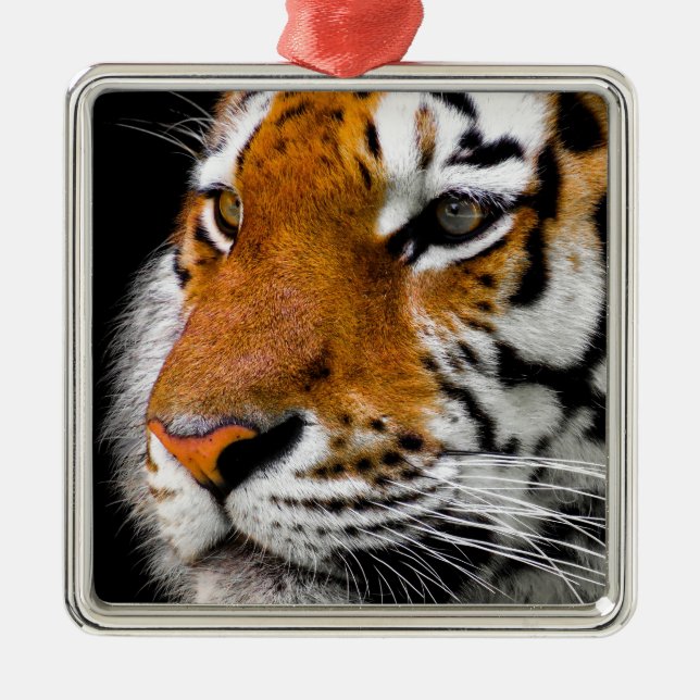 Tiger Metal Ornament (Front)