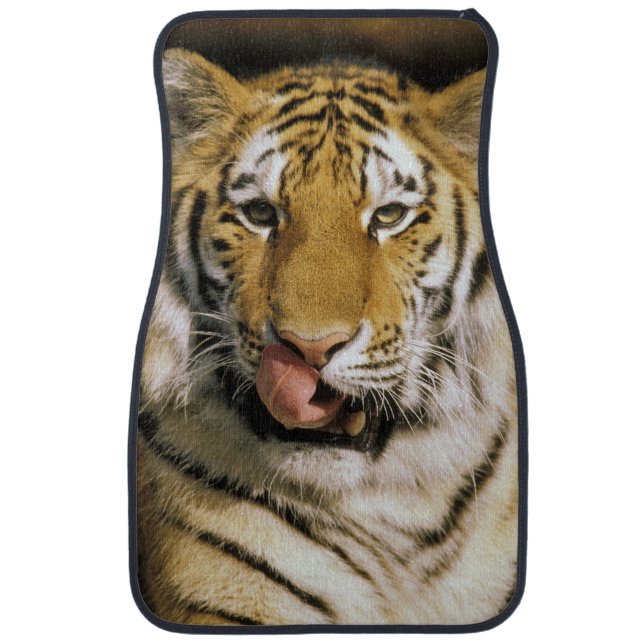 Tiger Michigan Zoo Car Mat (Front)