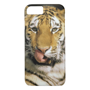 Tiger Michigan Zoo iPhone 8/7 Case