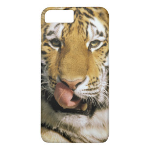Tiger Michigan Zoo iPhone 8 Plus/7 Plus Case