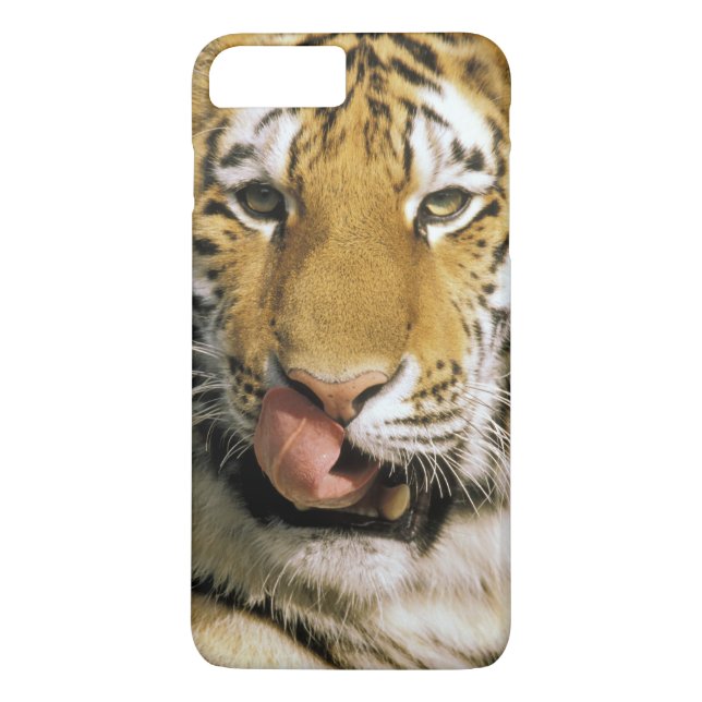 Tiger Michigan Zoo Case-Mate iPhone Case (Back)