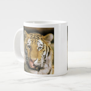 Tiger Michigan Zoo Giant Coffee Mug