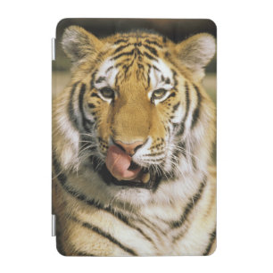 Tiger Michigan Zoo iPad Mini Cover