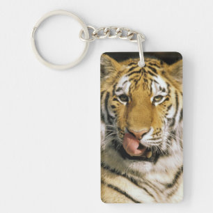 Tiger Michigan Zoo Keychain