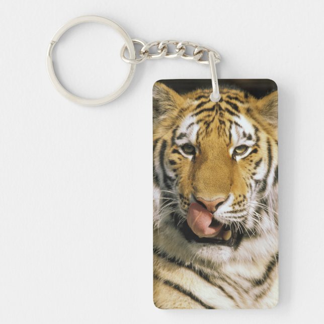 Tiger Michigan Zoo Keychain (Front)