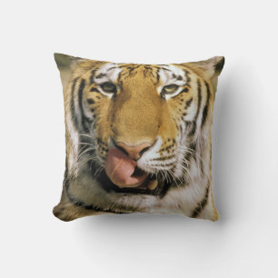 Tiger Michigan Zoo Throw Pillow