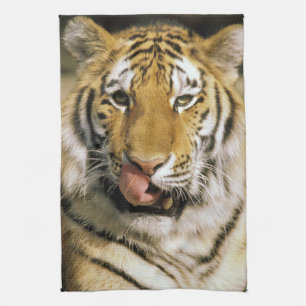 Tiger Michigan Zoo Towel