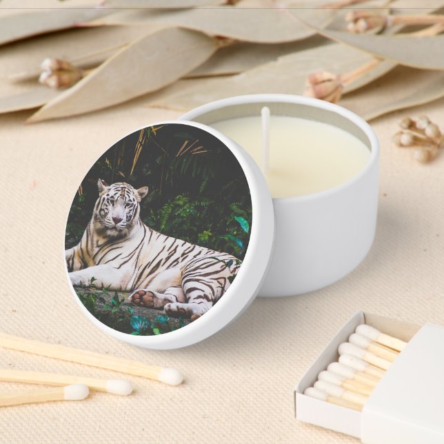 Tiger Mini Candle Favors (Insitu)
