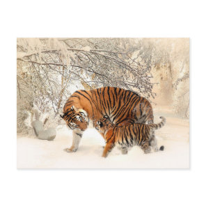 tiger mom and baby postcard